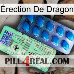 Érection De Dragon new02